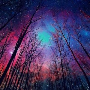 Meet your Posher, Mireya